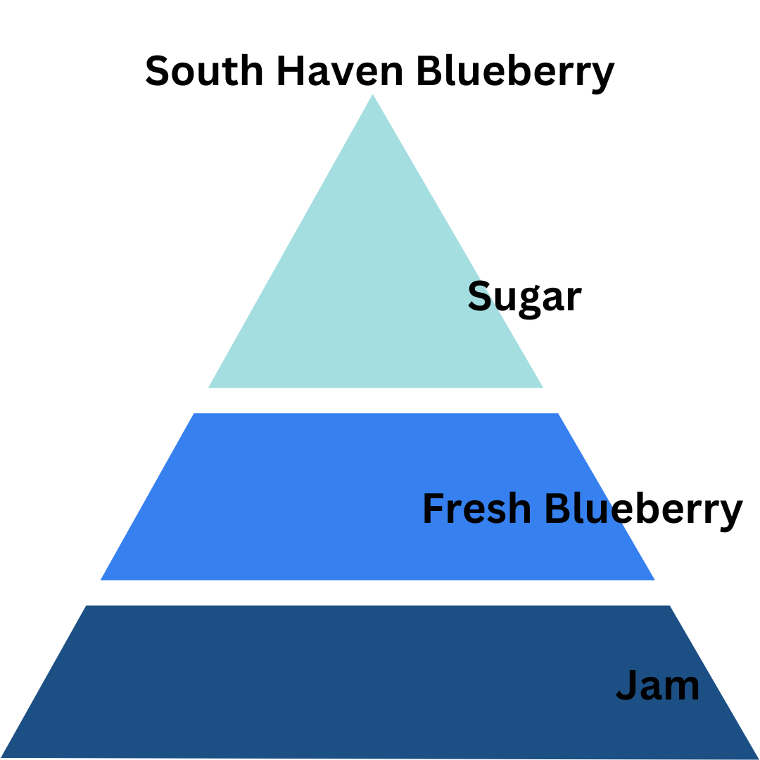 South Haven Blueberry - 13 oz. Coconut & Soy Wax Candle