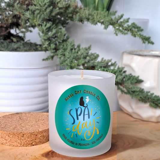 Spa Day Spring Candle - 8 oz Coconut and Soy wax candle