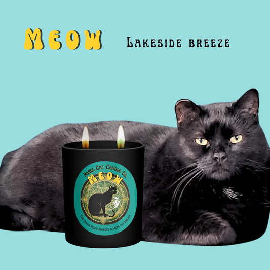 'Meow' Lakeside Breeze - 13 oz. Coconut & Soy Wax Candle