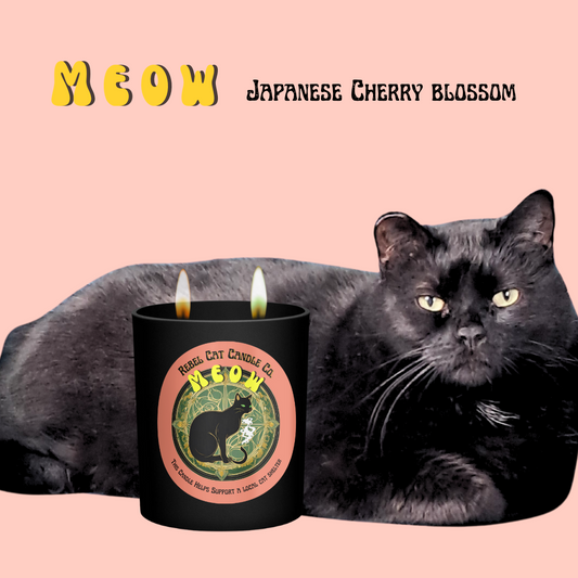 'Meow' Japanese Cherry Blossom - 13 oz. Coconut & Soy Wax Candle