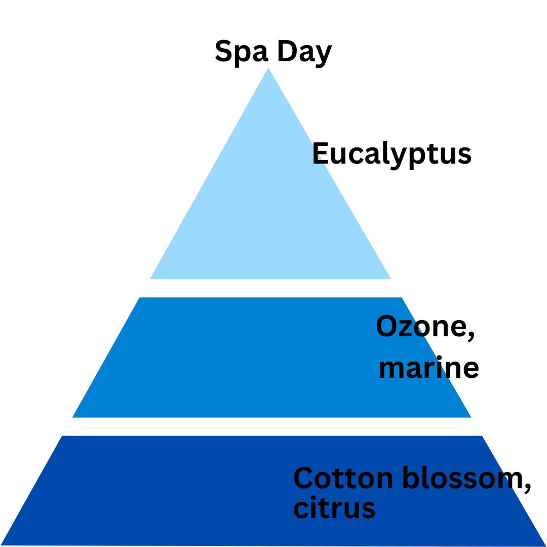 Spa Day Home Spray - Frosted Collection 5 oz.