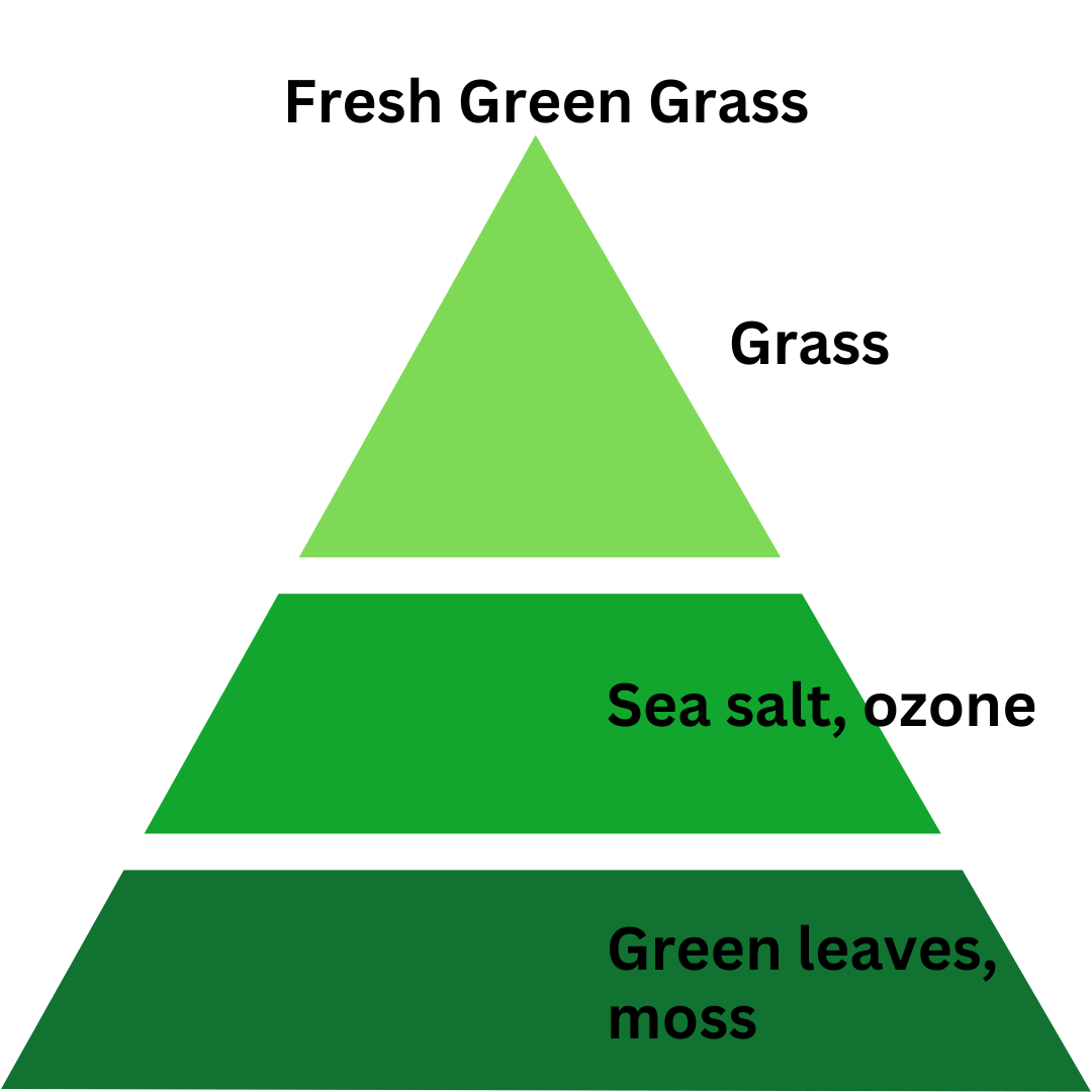 Fresh Green Grass - 8 oz. Coconut & Soy Wax Candle