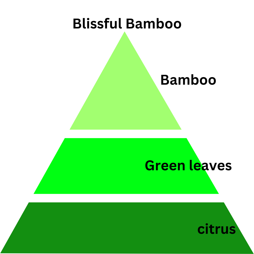 Blissful Bamboo Home Spray - Frosted Collection 5 oz.