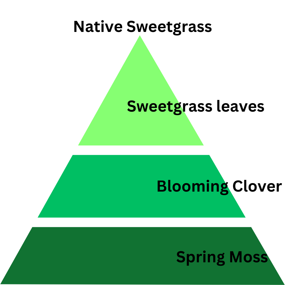 Pyramid diagram showing the hierarchy of Native Sweetgrass components on a white background.