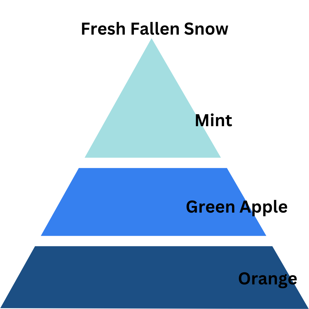 Fresh Fallen Snow - 8 oz. Coconut & Soy Wax Candle