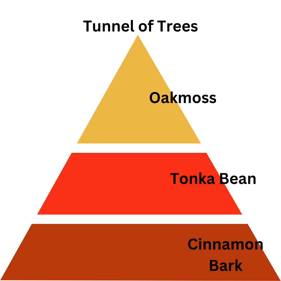 Tunnel of Trees - 13 oz. Coconut & Soy Wax Candle