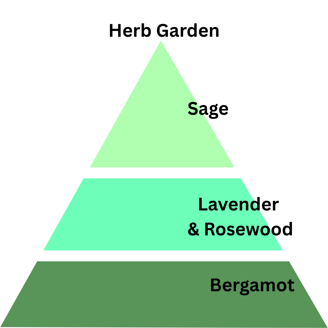 'Meow' Herb Garden - 13 oz. Coconut & Soy Wax Candle