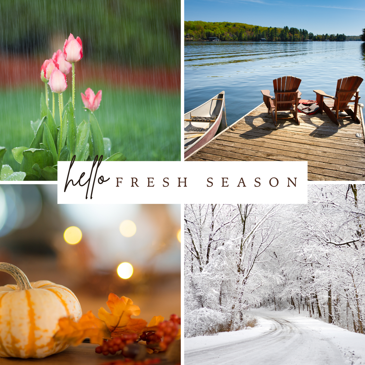 Seasonal Collections