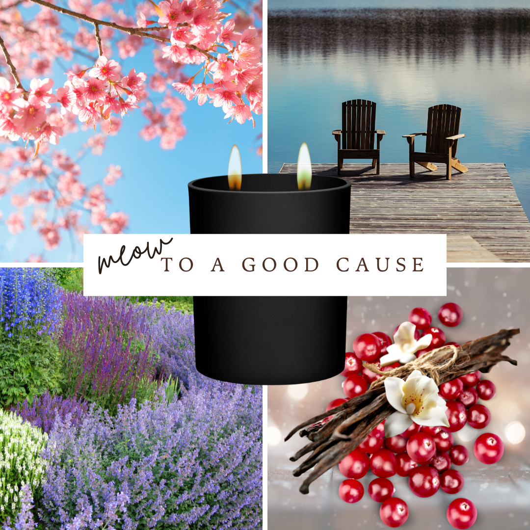 Meow Candles with a Cause