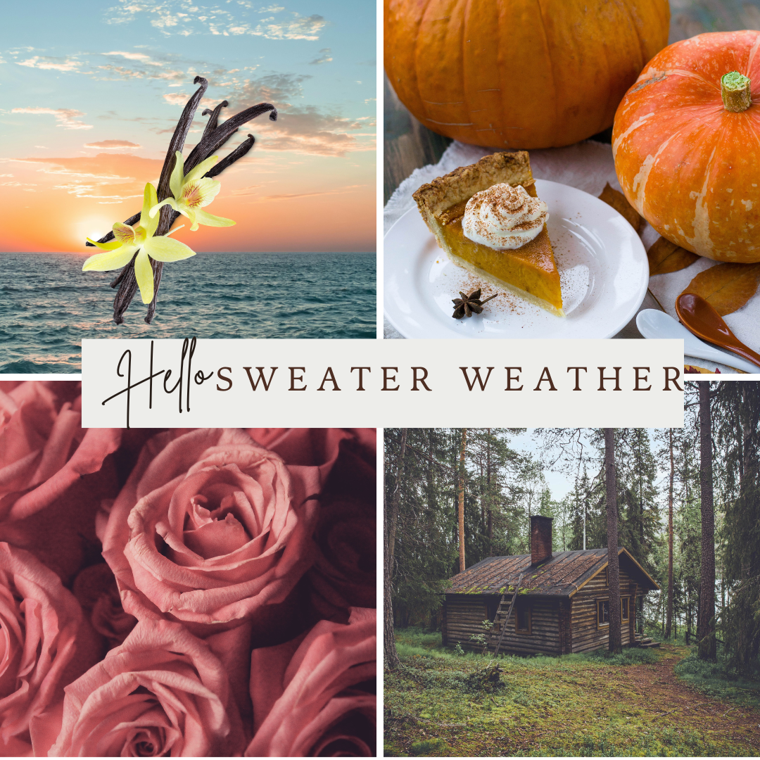 Fall Collection