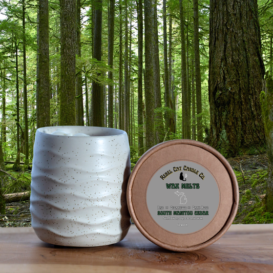 A ceramic wax melts pot in a speckled off-white glaze stands next to a round kraft paper lid on a wooden surface, with a blurred forest background. The lid label reads 'RebelL CAT CANDLE CO.