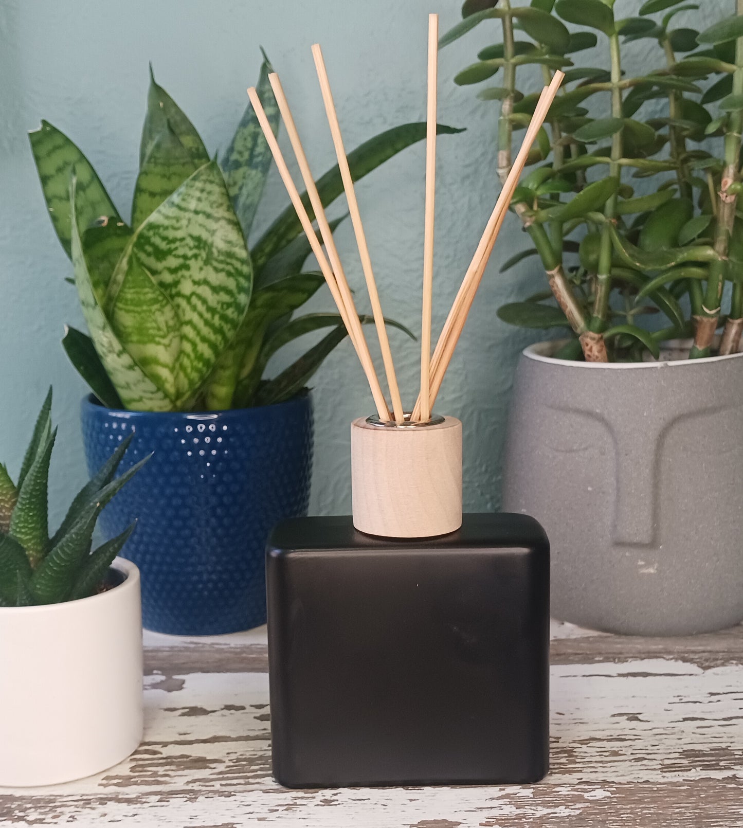 Glass Reed Diffuser 8 oz- Refillable and Eco-friendly