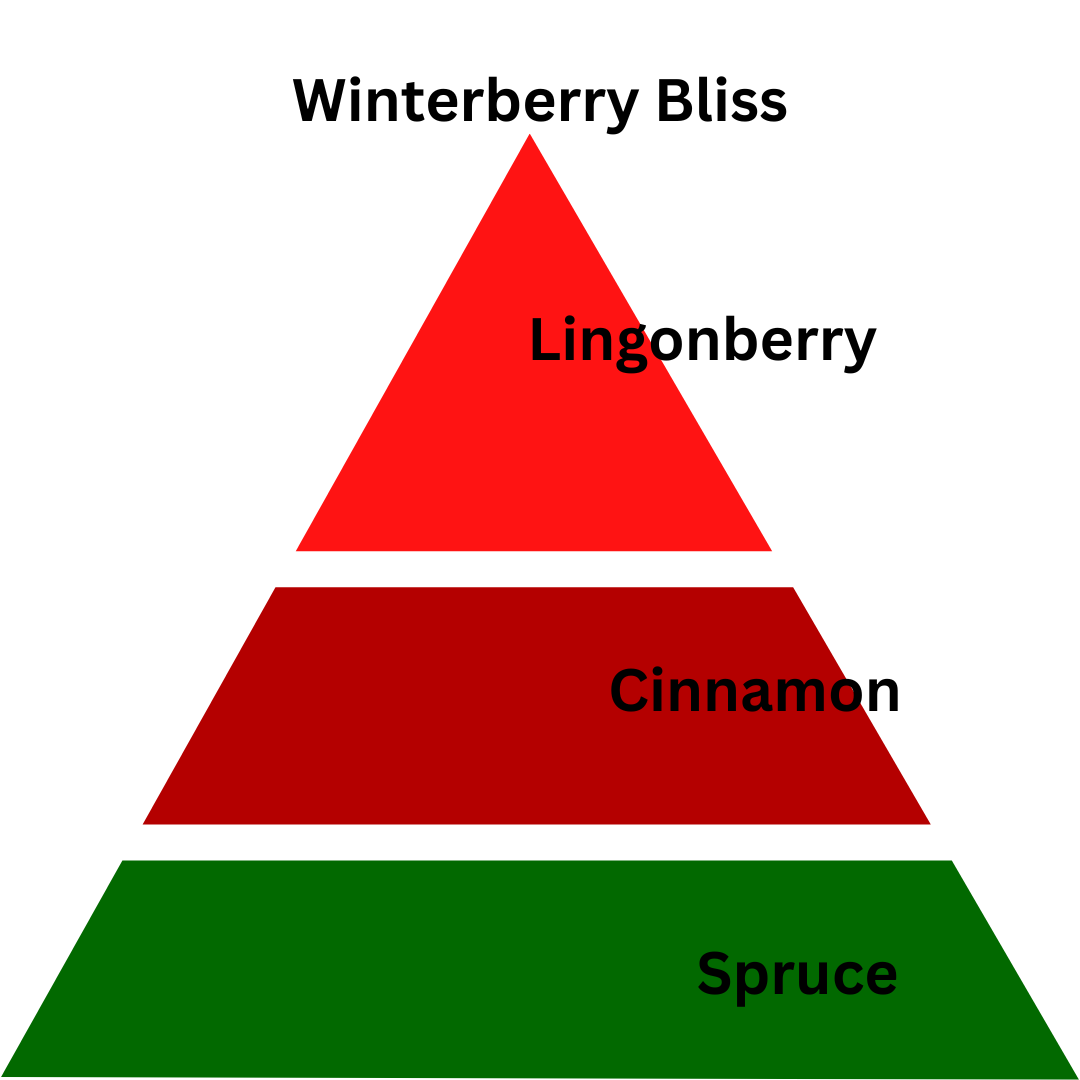 Winterberry Bliss - 8 oz. Coconut & Soy Wax Candle