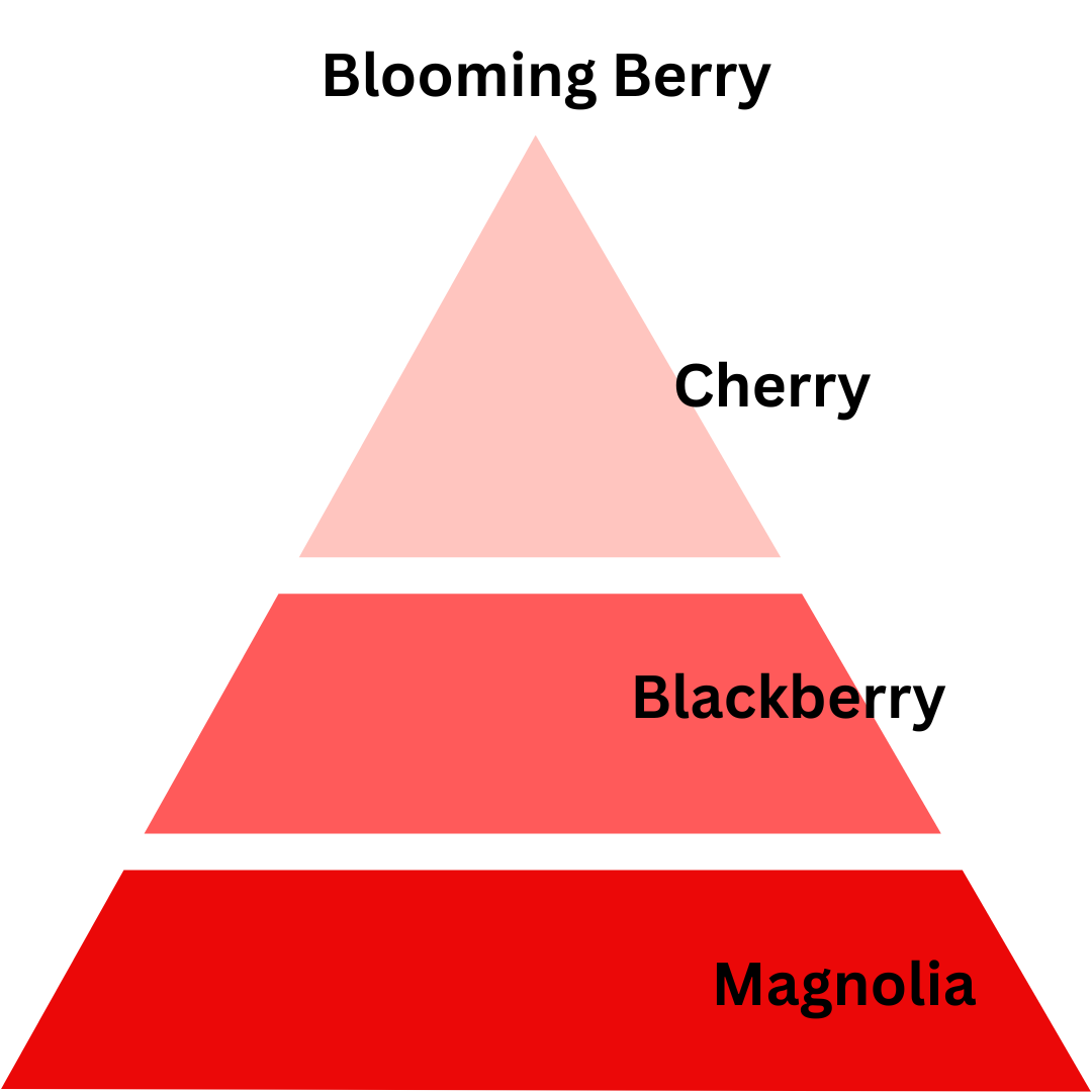 Color swatch pyramid with 'Blooming Berry'scent profile of 'Cherry', 'Blackberry', and 'Magnolia' scents.
