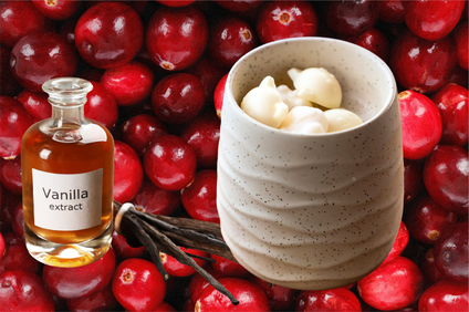 A bottle of vanilla extract next to a ceramic plug in melter filled with wax melts set against a background of fresh red cranberries.