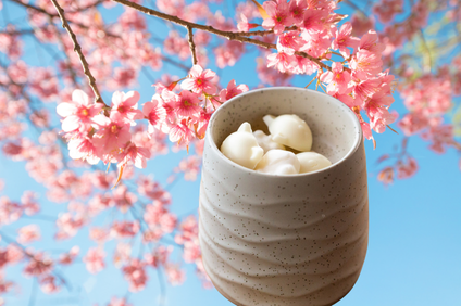 A textured beige ceramic cup filled with white wax melts hanging against a background of pink cherry blossoms and blue sky.